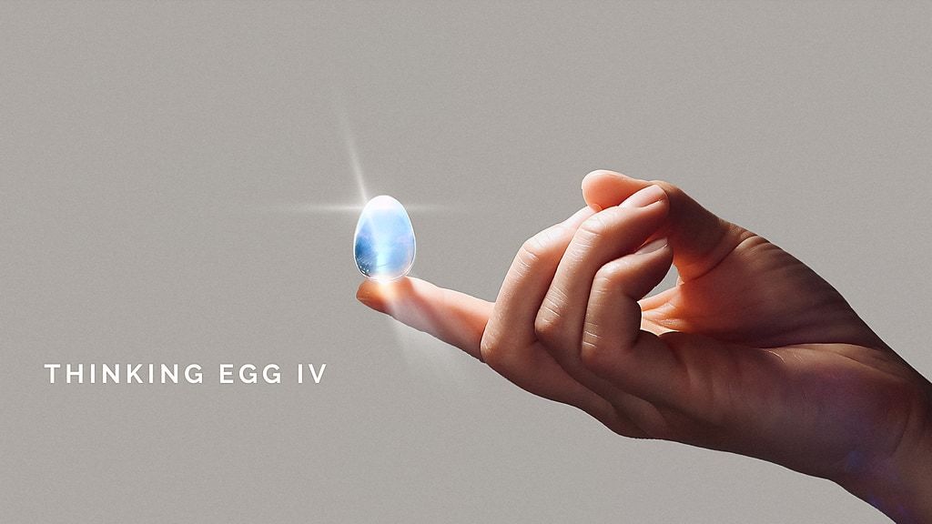 Thinking Egg IV: It's Time To Slow The F*ck Down