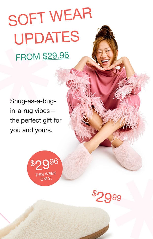 Soft Ware Updates - From $29.96