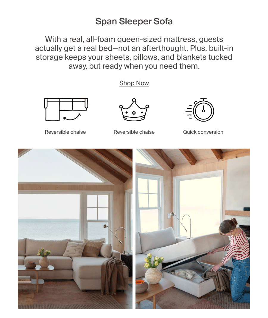 Span Sleeper Sofa
