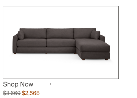 Span Sleeper Sofa