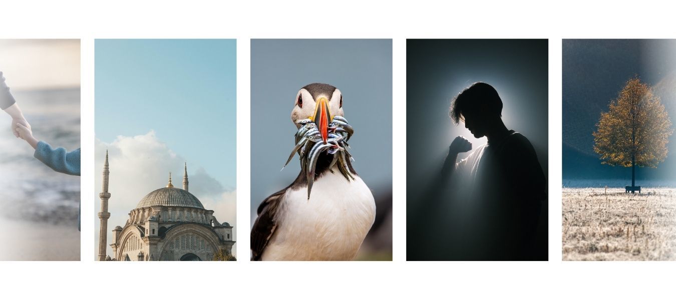 2025 year in review!