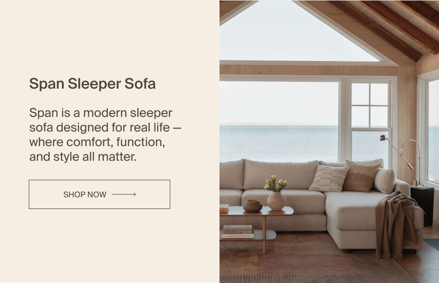 Span Sleeper Sofa