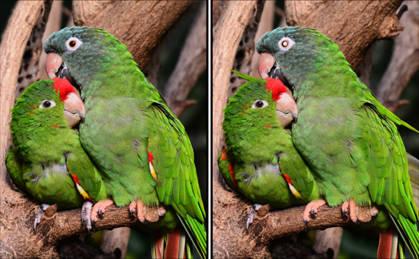 Play Spot the Difference