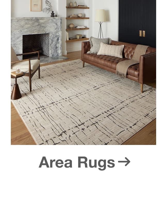 Shop Area Rugs on Sale