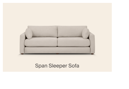 Span Sleeper Sofa