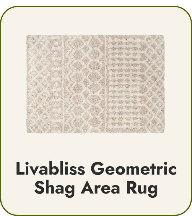 Livabliss Newton Geometric Moroccan Trellis Shag Area Rug