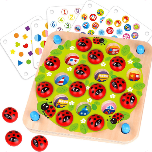 Ladybug's Garden Memory Game