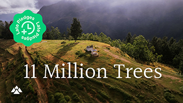 11 Million Trees 