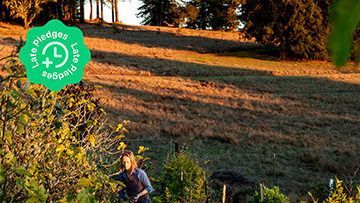 Olio's: A Community Cafe at Tannery Arts Center