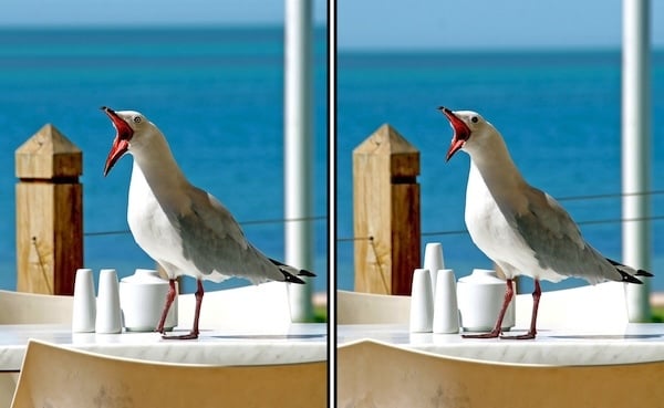 Play Spot the Difference