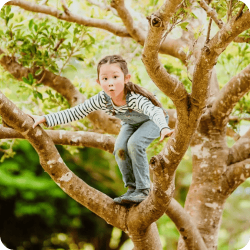 a kid climbing in a tree taking risks