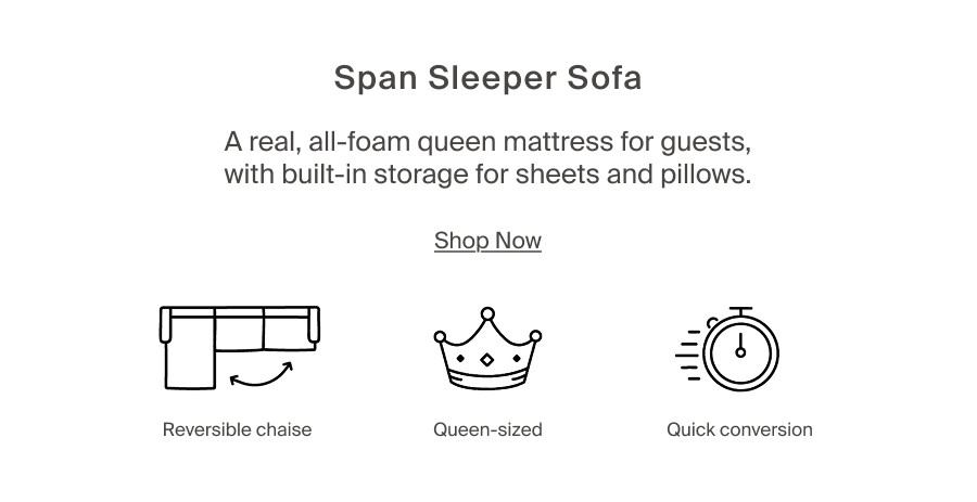 Span Sleeper Sofa