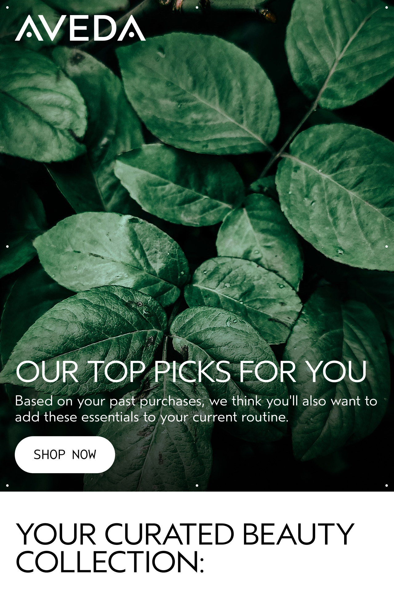 AVEDA | OUR TOP PICKS FOR YOU | Based on your past purchases, we think you'll also want to add these essentials to your current routine. | SHOP NOW