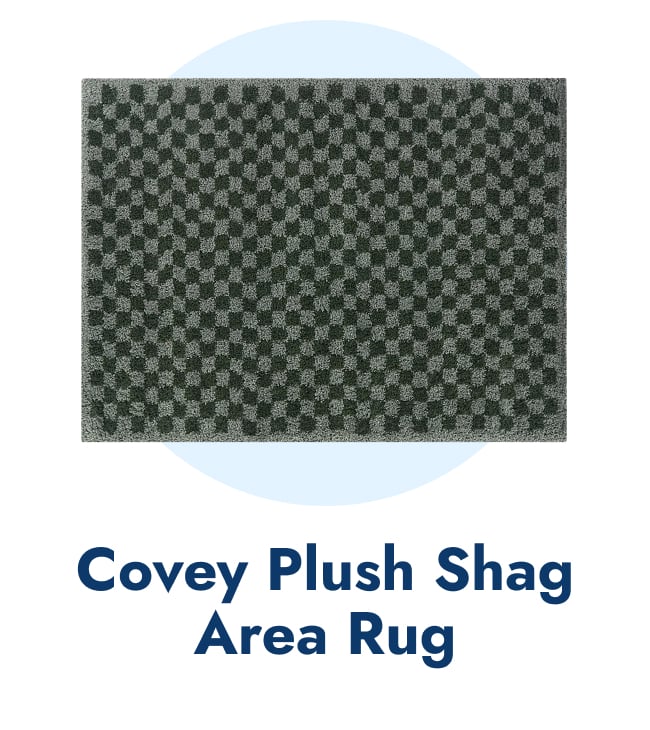 Covey Plush Checkered Shag Area Rug