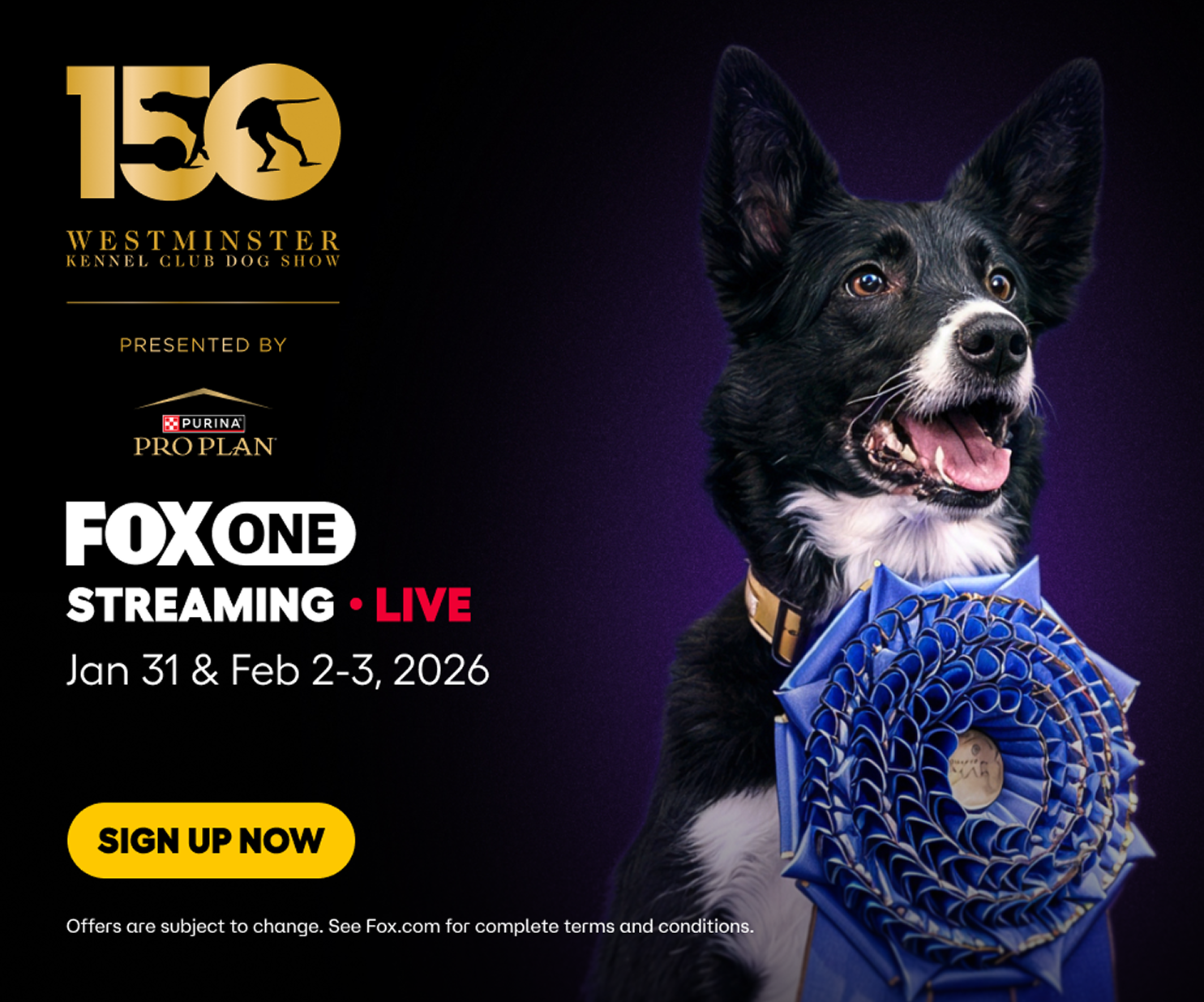 FOX One + ESPN Bundle