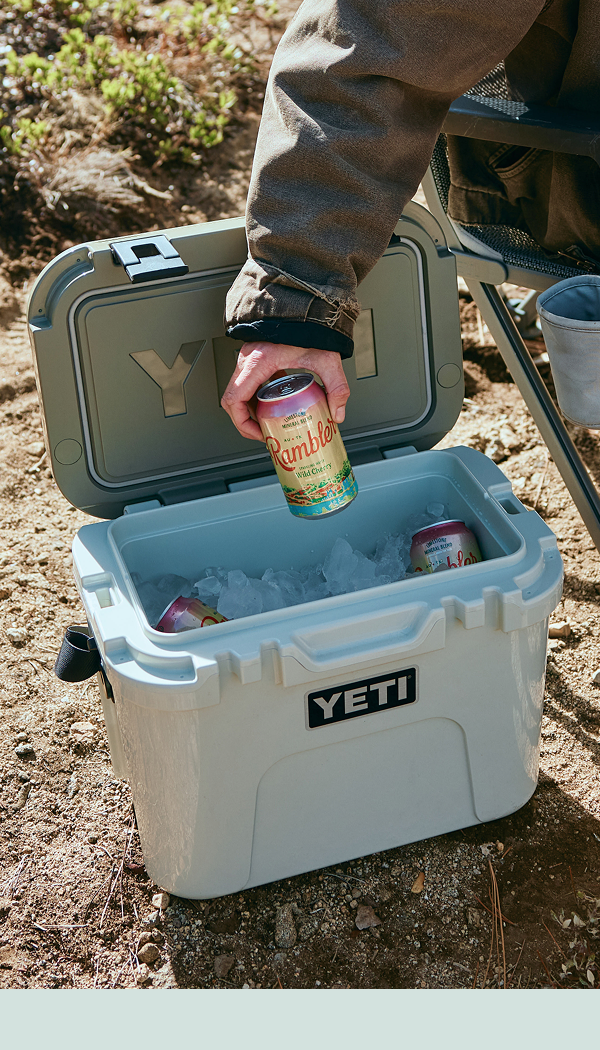 Ice That Outlasts The Sun