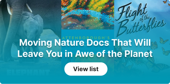 Moving Nature Docs