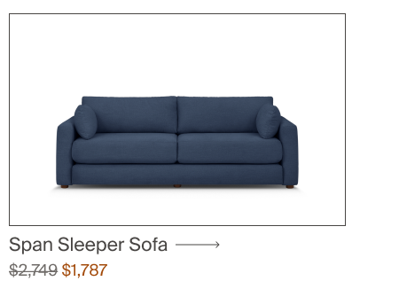 Span Sleeper Sofa
