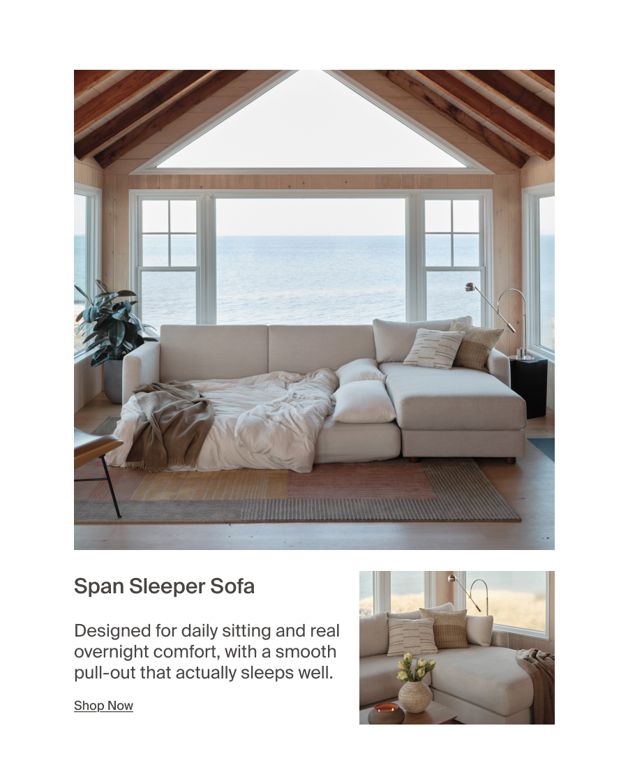 Span Sleeper Sofa