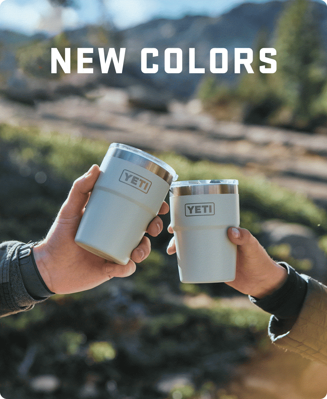 The New Ridgeline And Venom Collections