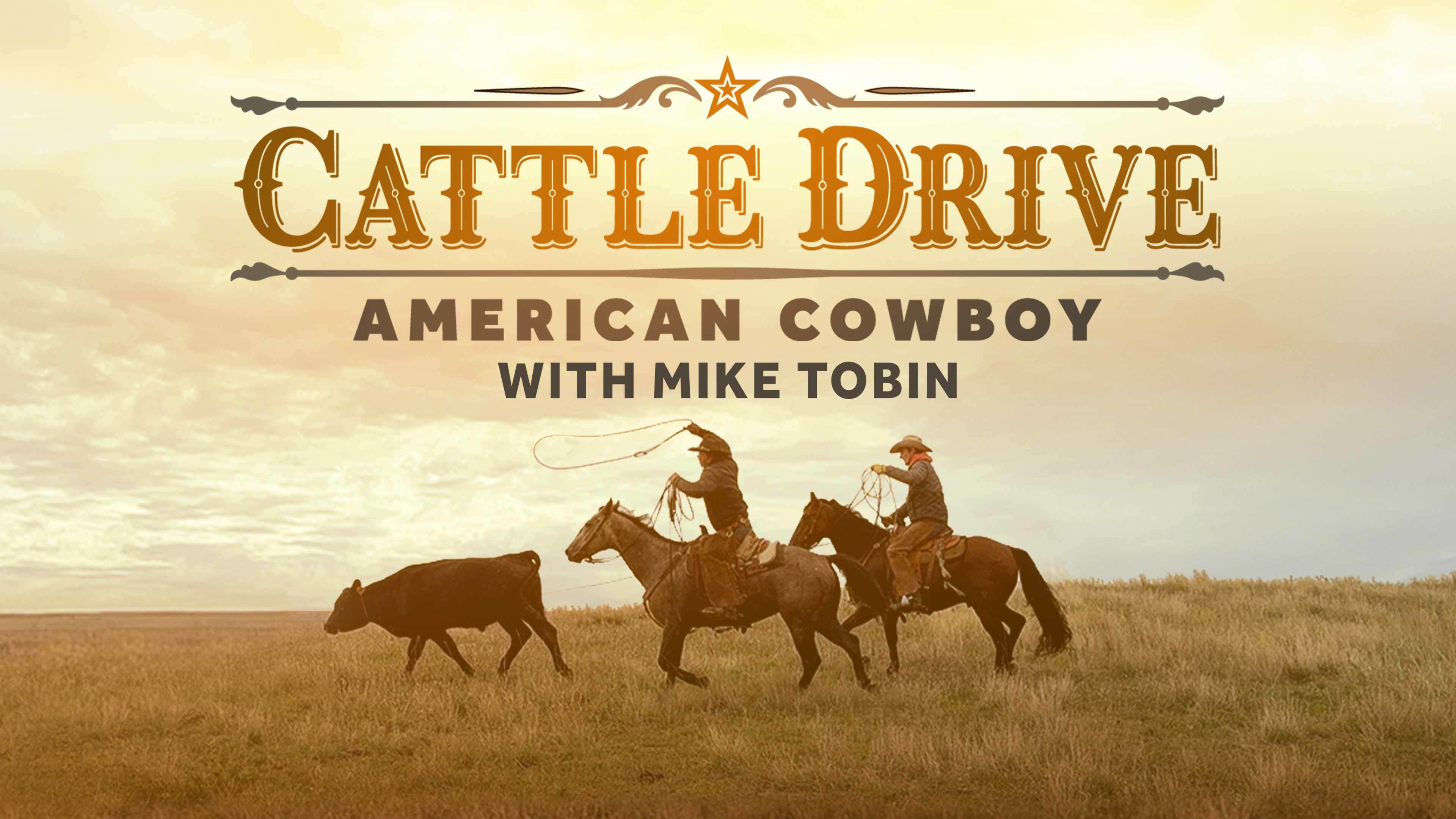 Cattle Drive: American Cowboy