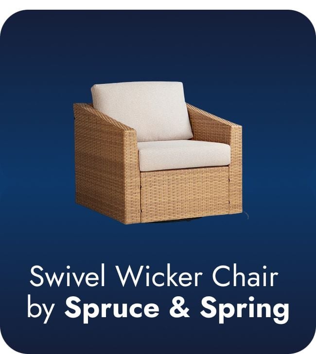 Save on Spruce & Spring Oakley Wicker Swivel Chair