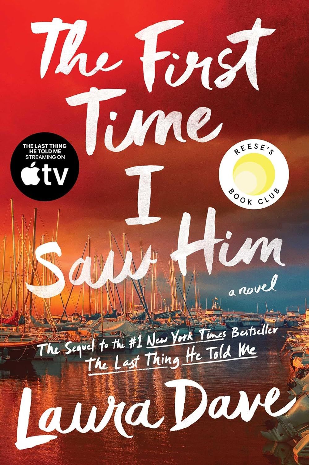The First Time I Saw Him by Laura Dave