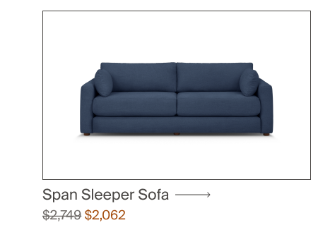 Span Sleeper Sofa