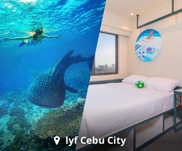 Soak In Cebu's Natural Wonders 