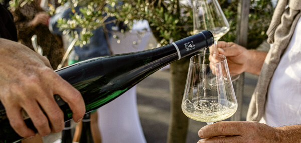 Save up to 50% on Wine Spectator Rated Wine