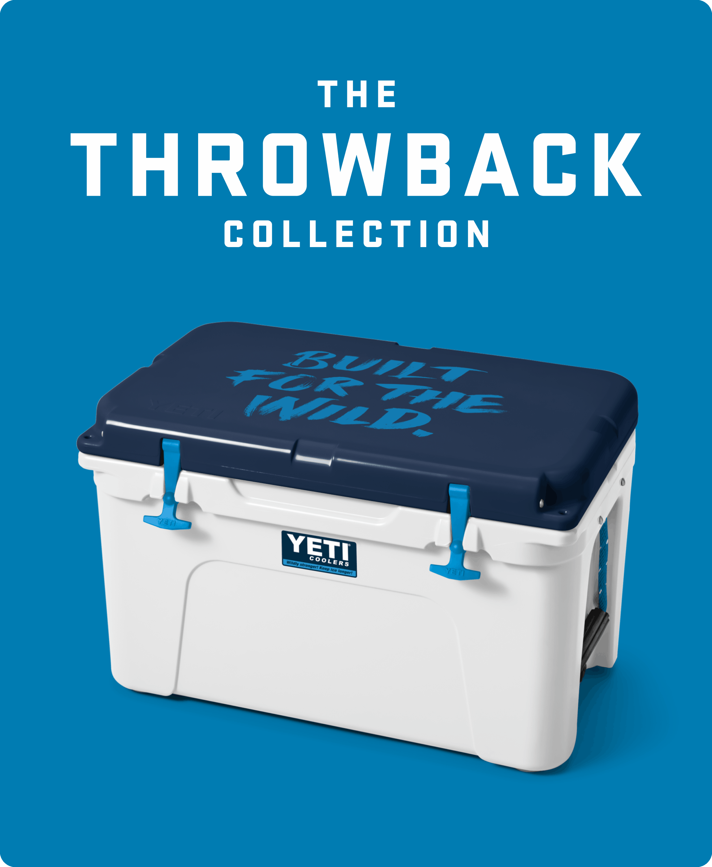 THE THROWBACK COLLECTION