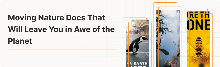 Nature Documentaries