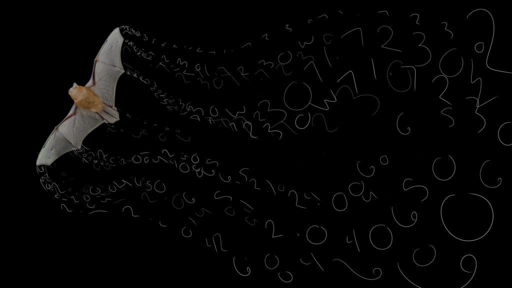 Strength in Numbers: SciArt for Bat Conservation