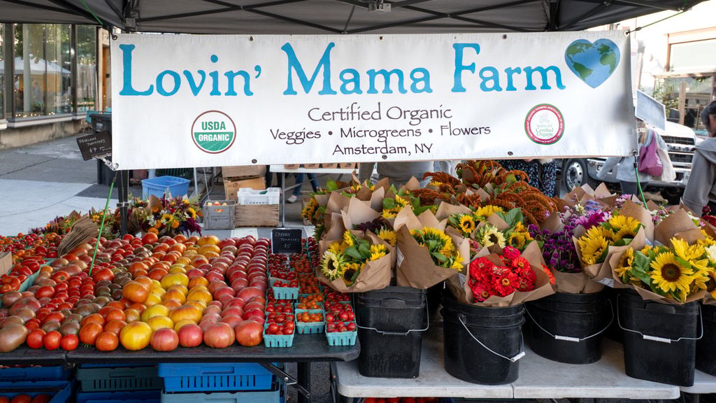 Restore Lovin’ Mama Farm Kitchen in Amsterdam, NY