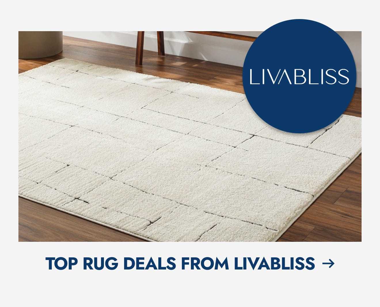 Top rug deals from Livabliss