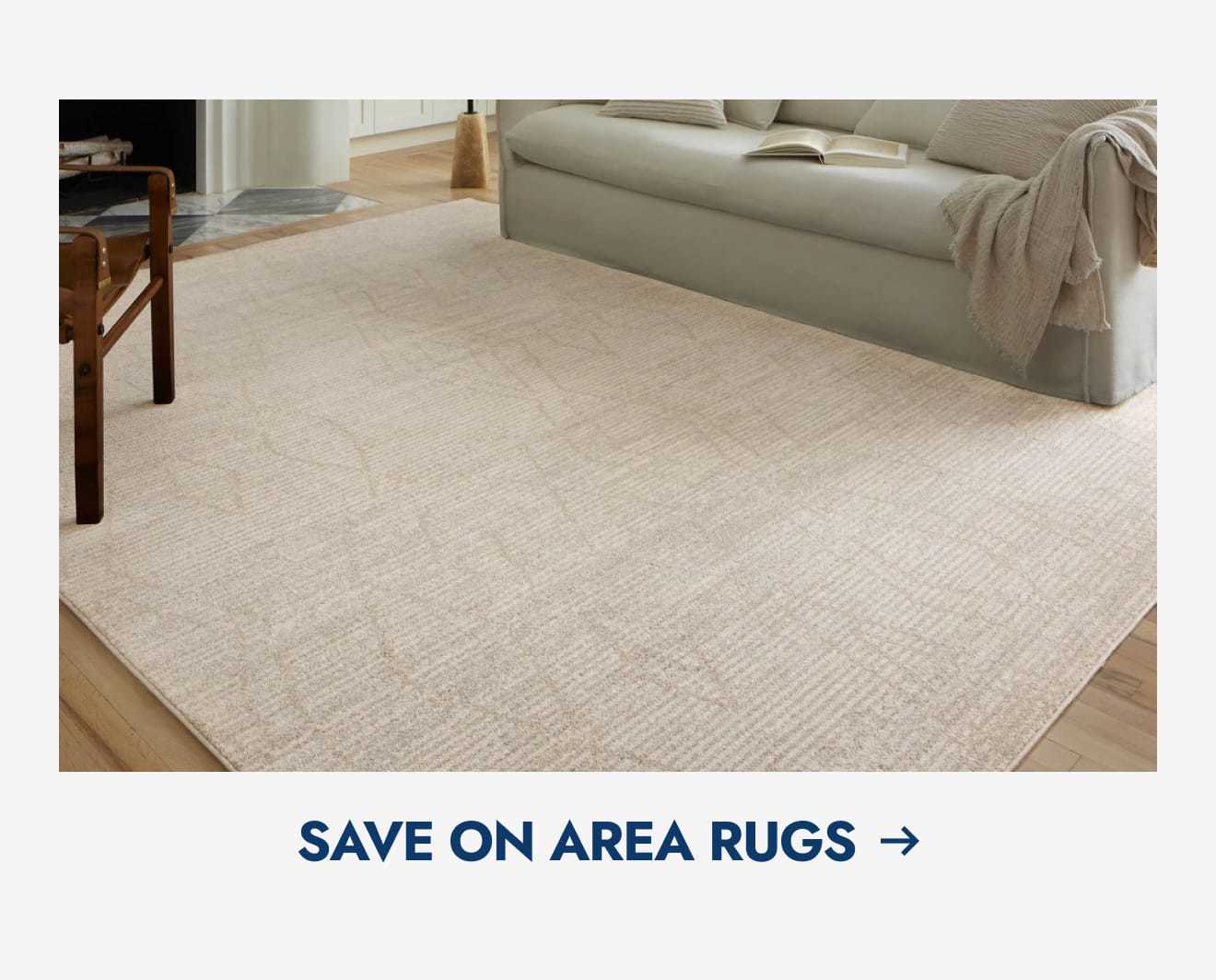 Save on area rugs