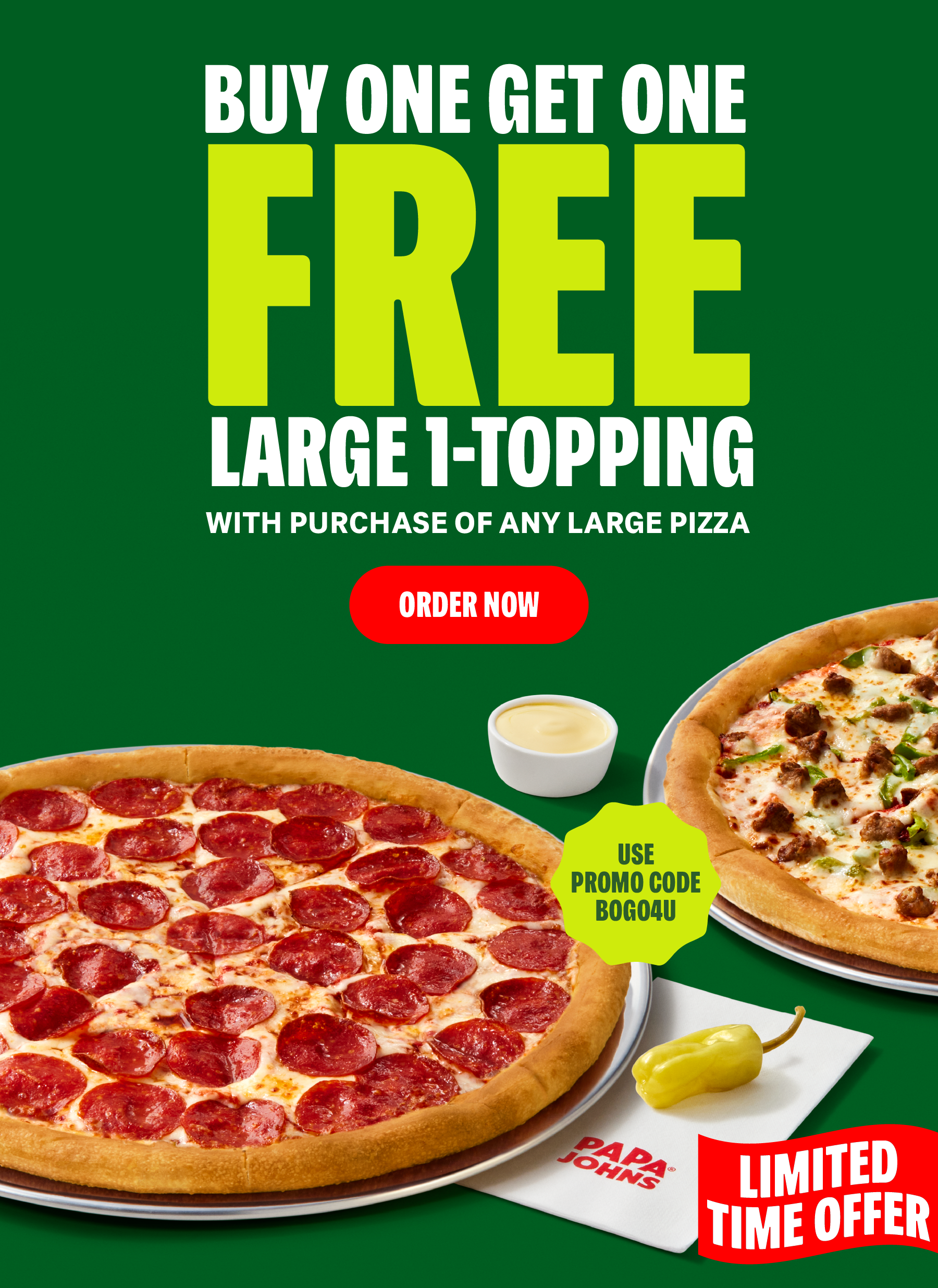 Buy One Get One Free Large 1-Topping with any Large Pizza 
