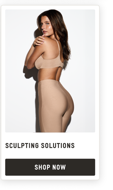 SCULPTING SOLUTIONS