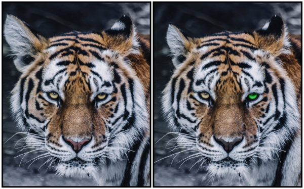 Play Spot the Difference