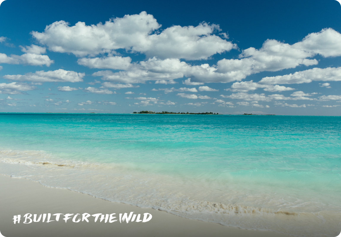 Built For The Wild