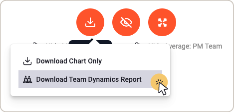 Clicking button to Download Team Dynamics Report