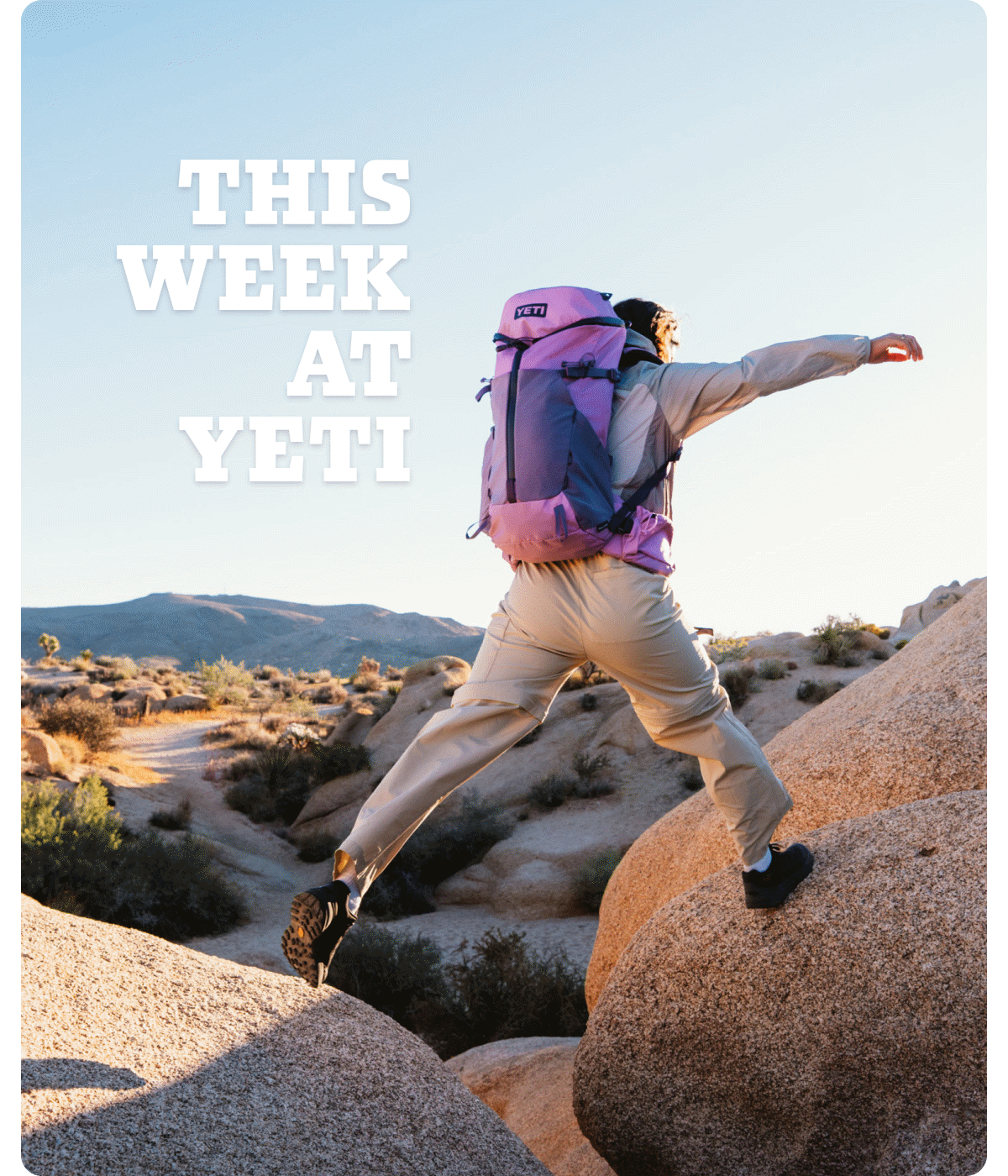 This Week At YETI