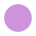 Desert Bloom