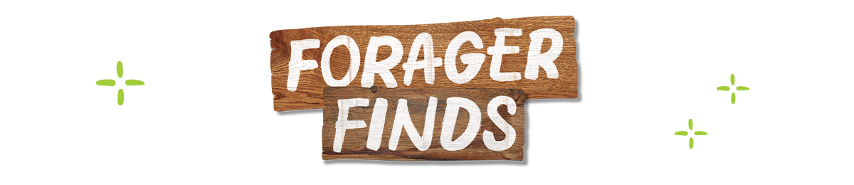 Forager Finds