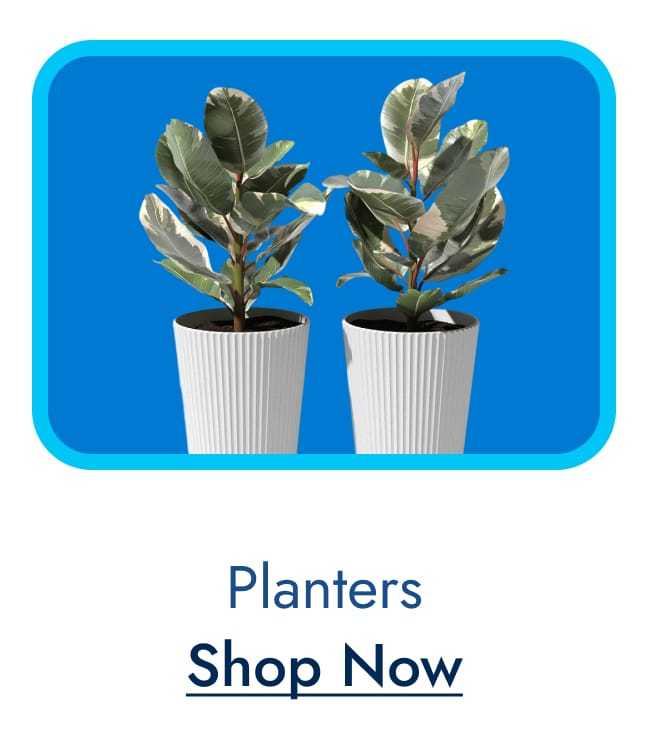 Planters
