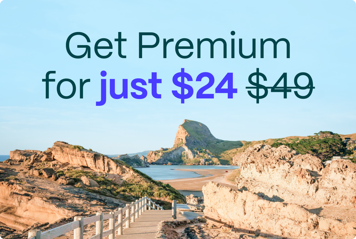Get Premium for just $24