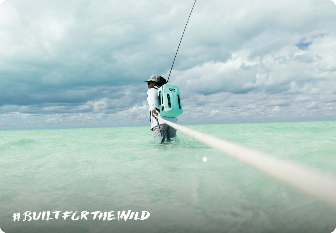 Built For The Wild