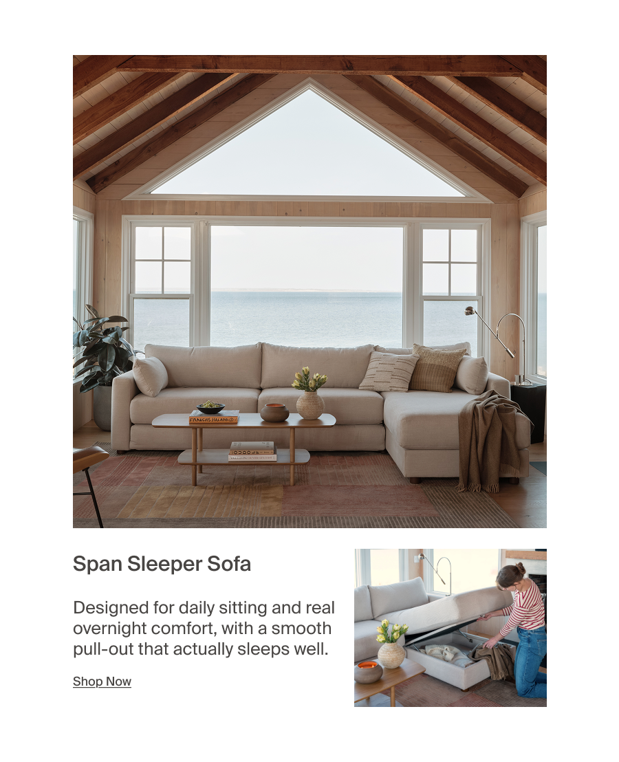 Span Sleeper Sofa