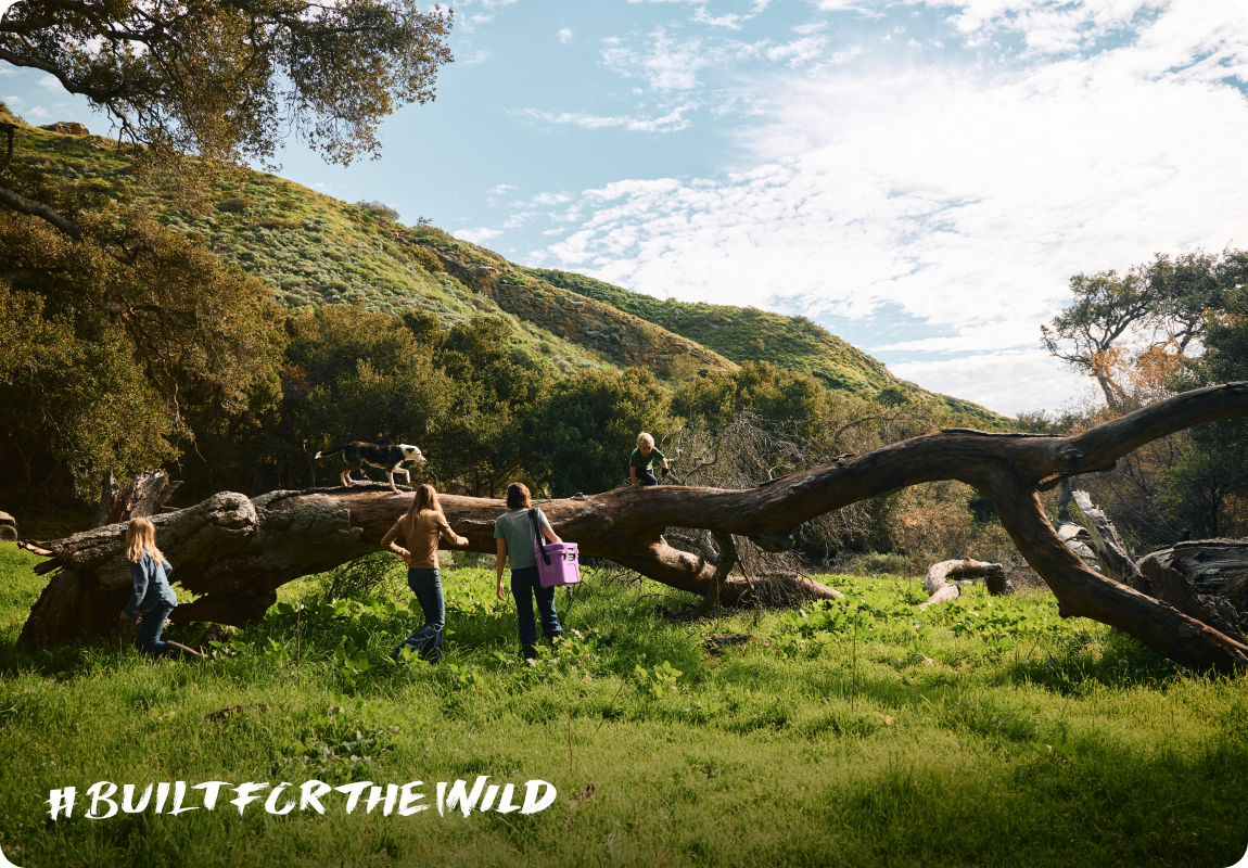 Built For The Wild