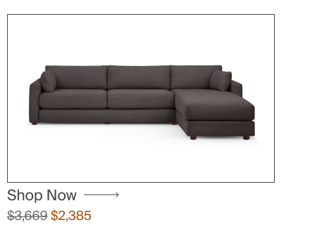 Sleeper Sofa